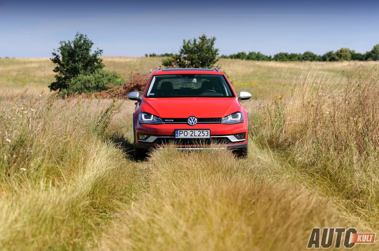 Volkswagen Golf Alltrack w swoim żywiole - na bezdrożach.