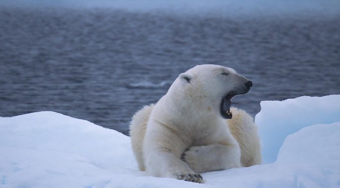 Sekrety zaklętych wód
