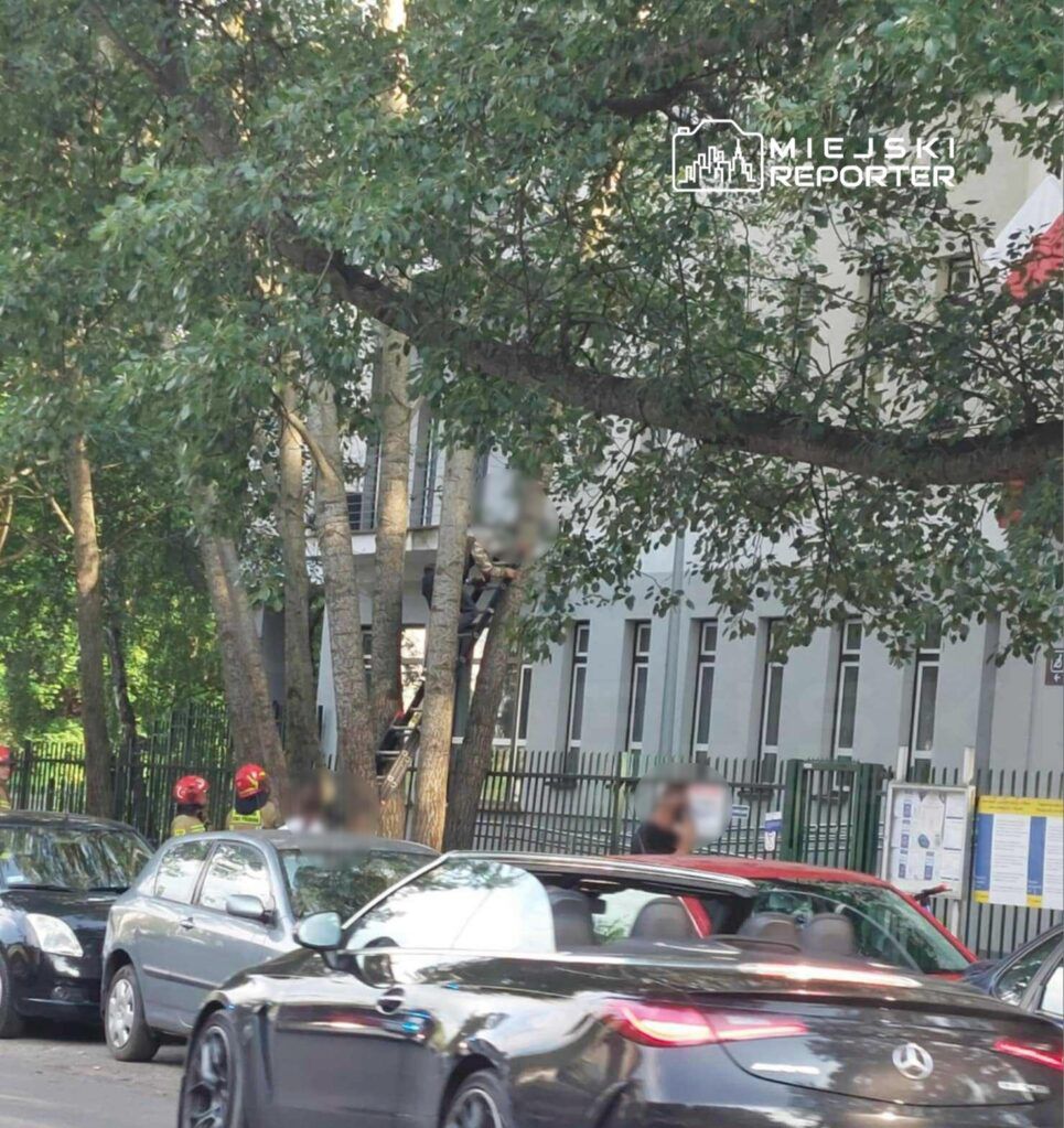 Warszawa: Obcokrajowiec wszedł na drzewo przed urzędem do Spraw Cudzoziemców. Interweniowały służby
