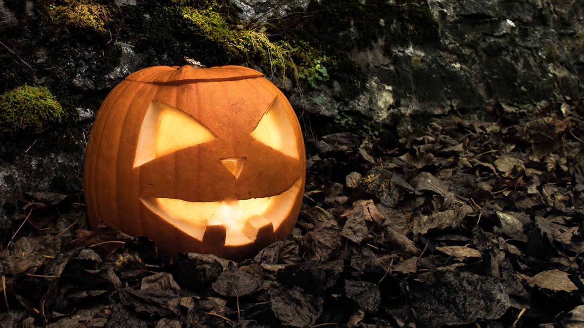 Leśnicy przypominają. Nie wyrzucaj ich do lasu