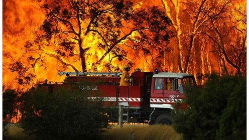 Australia płonie! 1