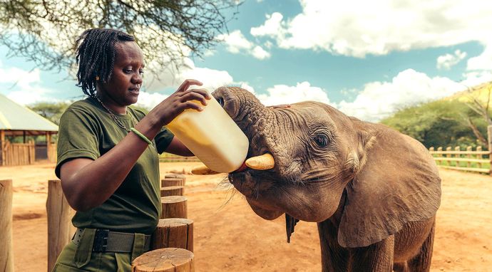 Stając się słoniem: Sieroty z Reteti