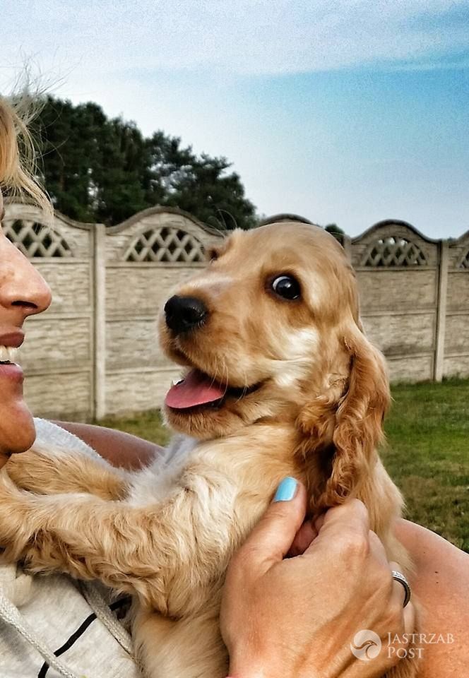 Pies zdemolował mieszkanie Katarzyny Skrzyneckiej