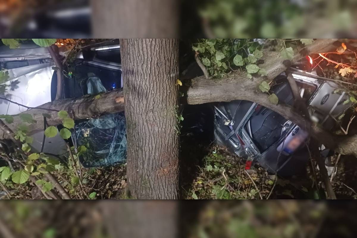 Ford roztrzaskał się o drzewa na ul. Osmolickiej