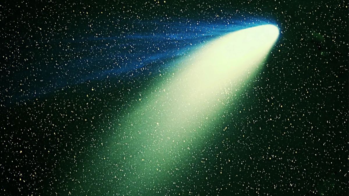 Gość w Układzie Słonecznym 