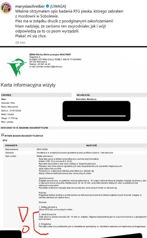 Wpis Marianny Schreiber na Instagramie