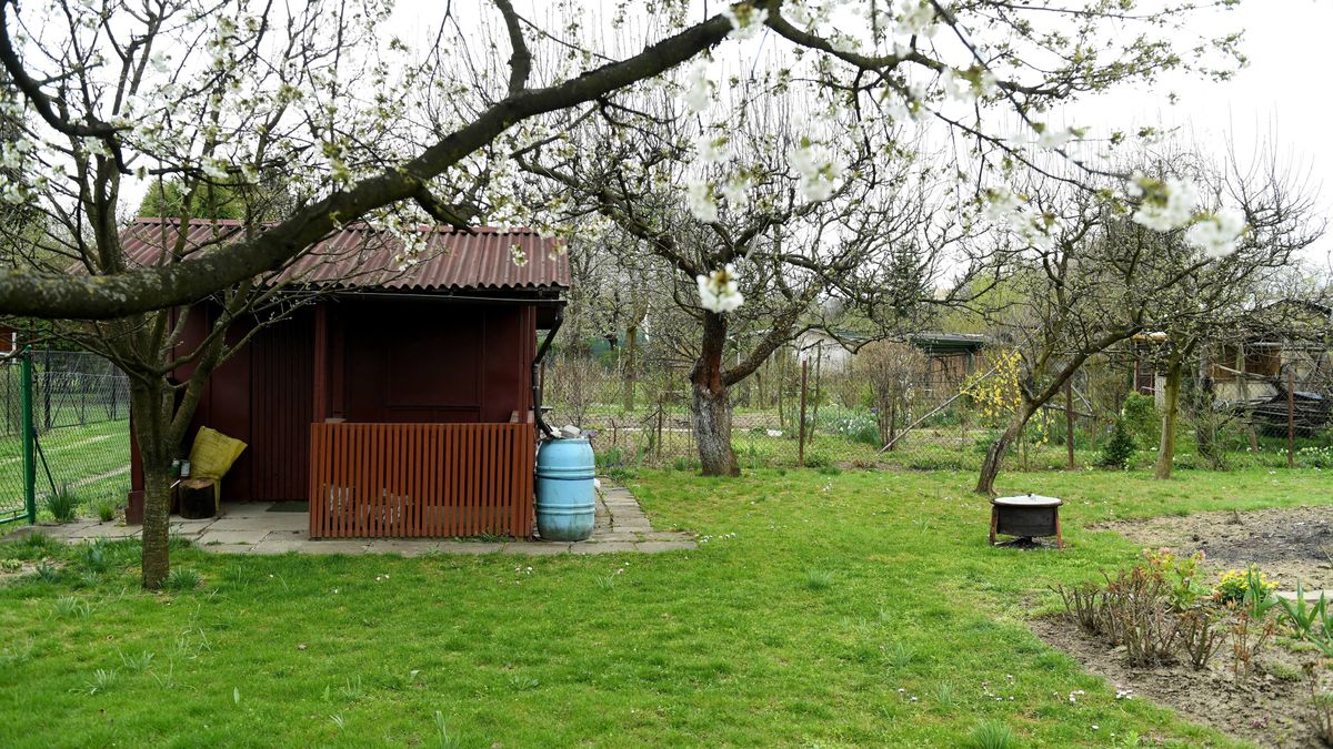 Ogrody działkowe wracają do łask. Polacy szukają wolnych działek