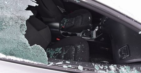 Ścinawa. Policyjny pies bez problemu znalazł wandala. 23-latek zniszczył radiowozy