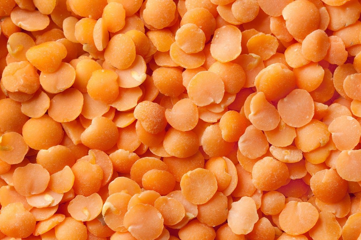 Lentils: The timeless, health-boosting superfood for those 50+