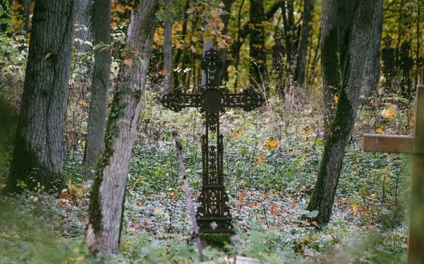 Zabytkowy cmentarz ewangelicki w Pleceminie