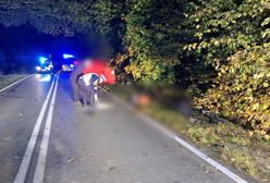 Kolejne informacje o kierowcy. Znaleźli go w zaroślach, dziś wyniki badań