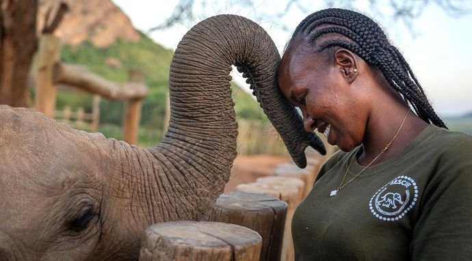 Stając się słoniem: Sieroty z Reteti