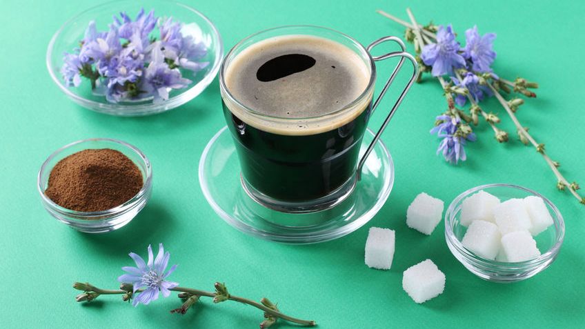 Kawa z cykorii to naturalny napój i zdrowa alternatywa dla klasycznej kawy. Nie zawiera kofeiny, choć lekko pobudza, ma także pozytywny wpływ na funkcjonowanie organizmu. 