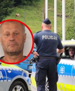 "Cały czas otrzymujemy informacje". Policja o szczegółach akcji