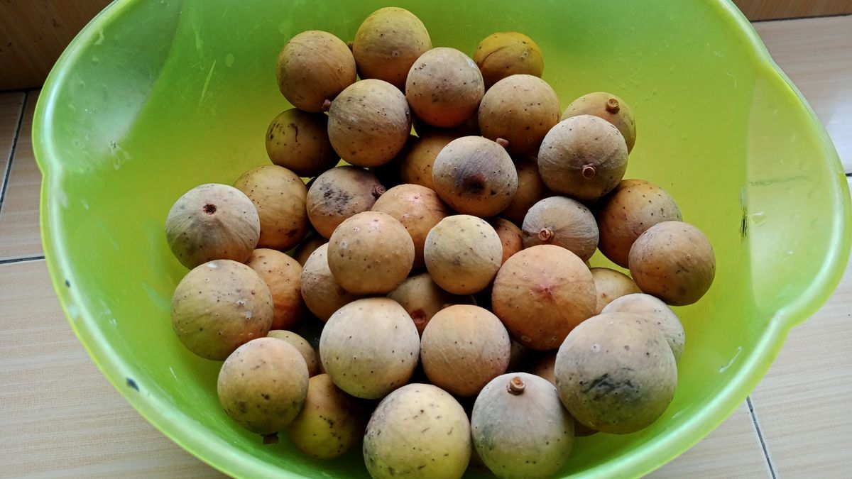 Ten egzotyczny owoc wygląda jak ziemniak