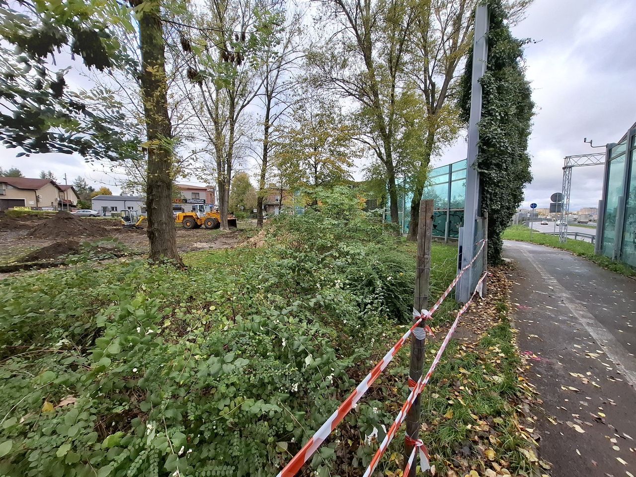 Częstochowa: Zaniedbany teren zmienia się w zieloną przestrzeń dla mieszkańców