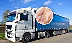 Zatrzymali transport z Wysp Owczych. Oto co miało trafić do Polski