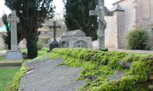 Dzieci przyniosły kości i czaszkę do domu. Zaskakujący finał sprawy