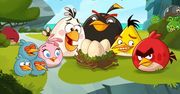 ''Angry Birds Toons'': Nie tylko dla orłów [RECENZJA DVD]