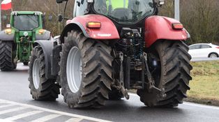 Szczecin: Rolnicy znów wyjdą na ulice. Chcą konkretnych działań