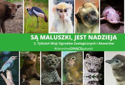 Warszawa. Ogrody zoologiczne w Polsce świętują. Mają wspólną misję