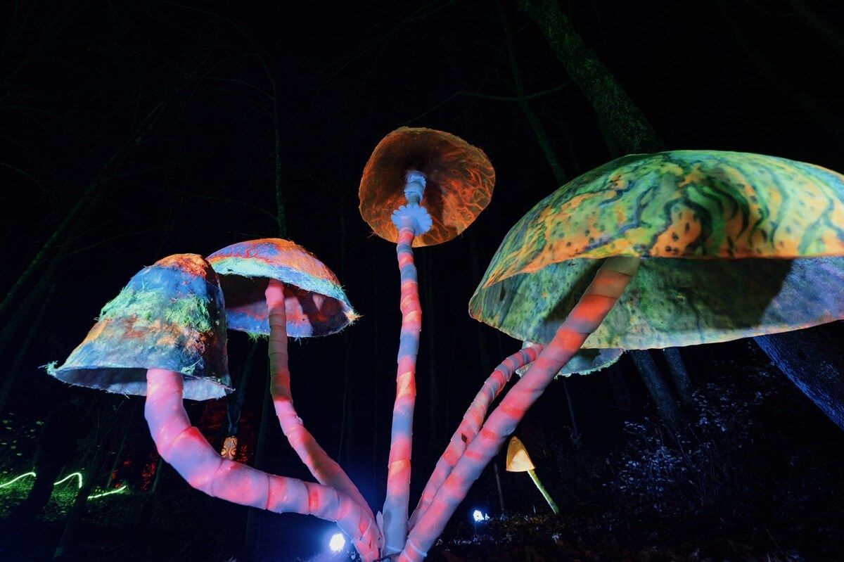Atrakcje Lumina Park Lublin 2023/2024