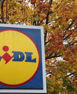 Zapytaliśmy o zarobki na kasie. Oto stawki na start w Lidlu