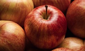 Regularnie jedli jabłka. Potem zbadali cukier i cholesterol