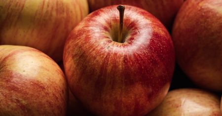 Regularnie jedli jabłka. Potem zbadali cukier i cholesterol