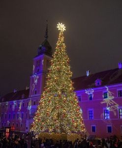 На Замковій площі офіційно засяяла новорічна ялинка