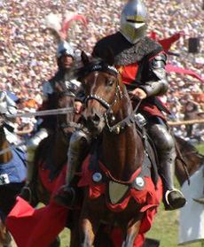 Grunwald po 600 latach