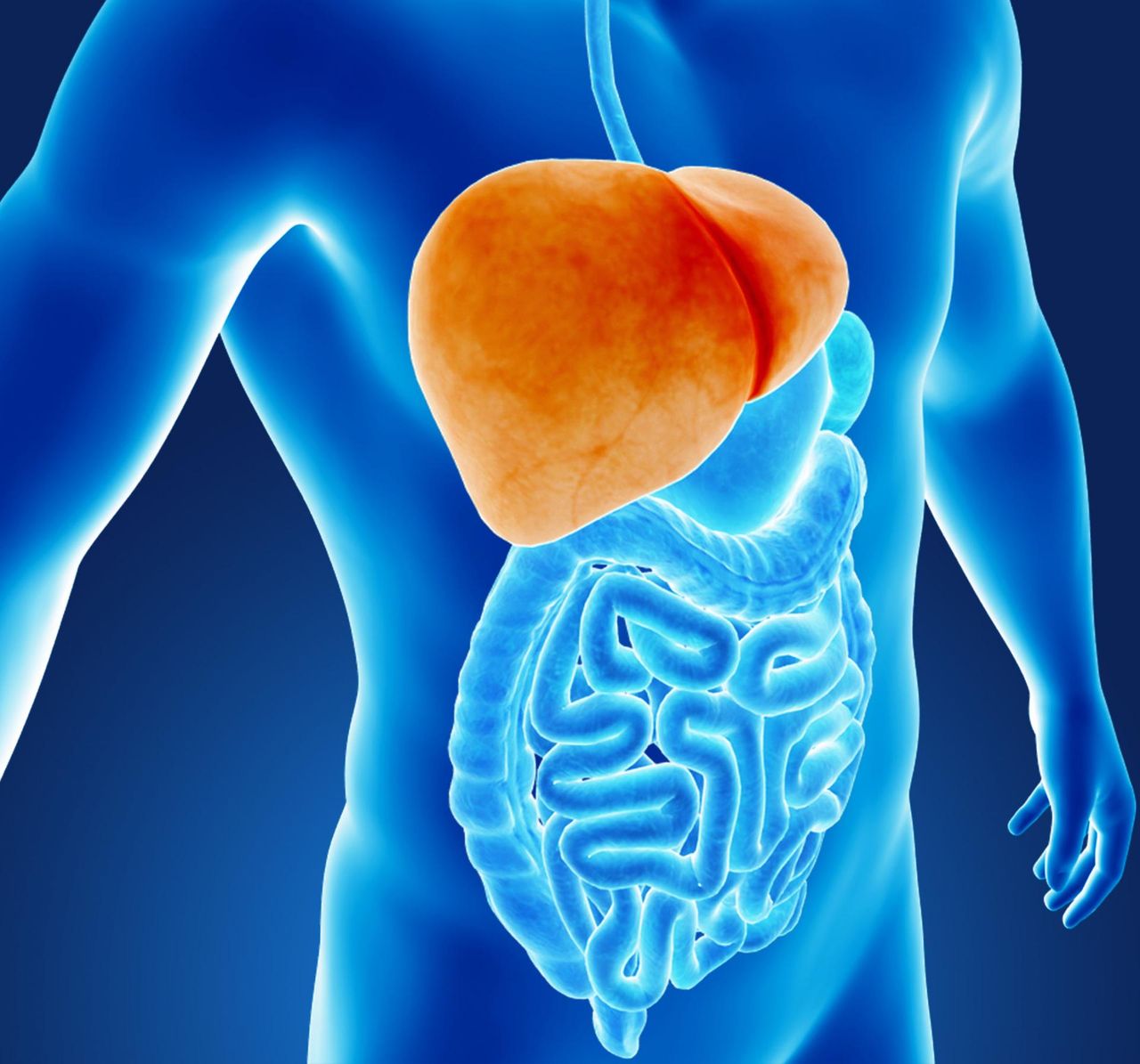 Trzustka je uwielbia. Wymiata toksyny i zbija cholesterol