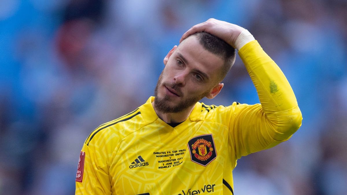 Zdjęcie okładkowe artykułu: Getty Images / Visionhaus / Na zdjęciu: David de Gea