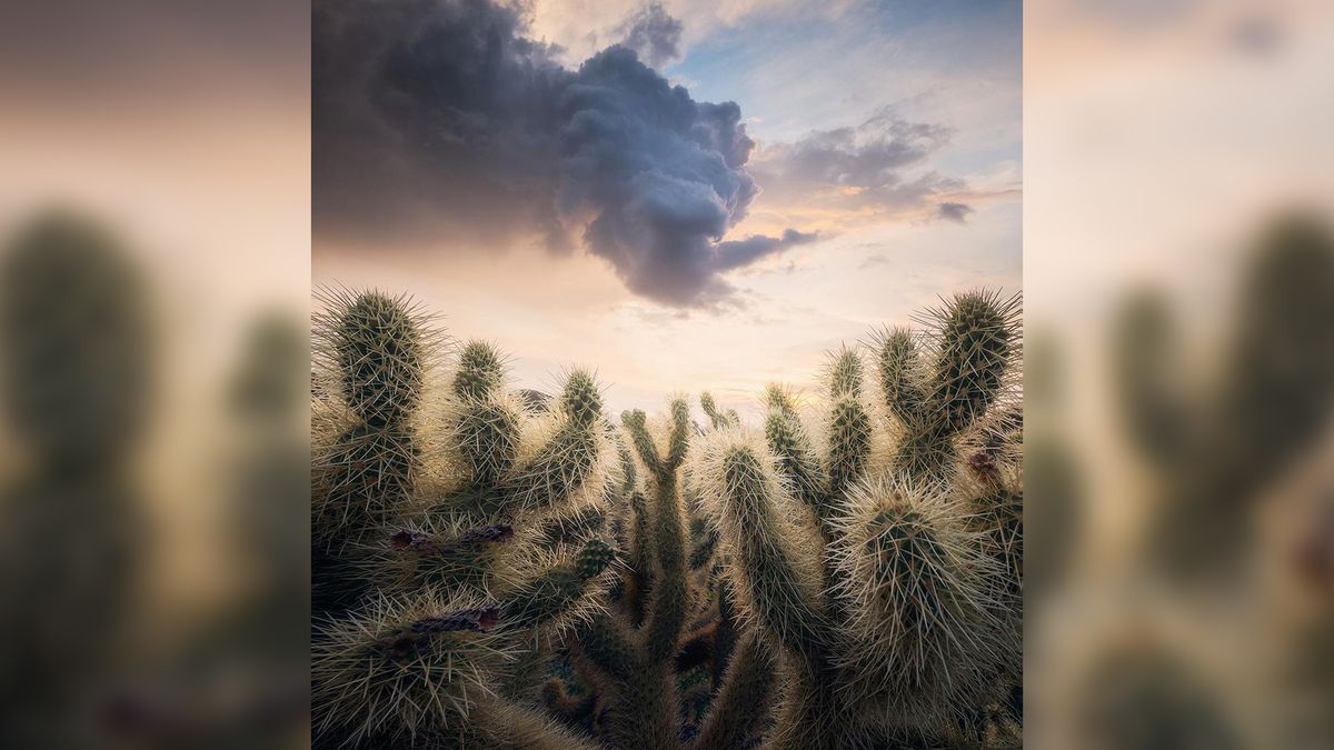 Burza wygląda jak smok. Fotograf ujął przepiękną formację chmur 1