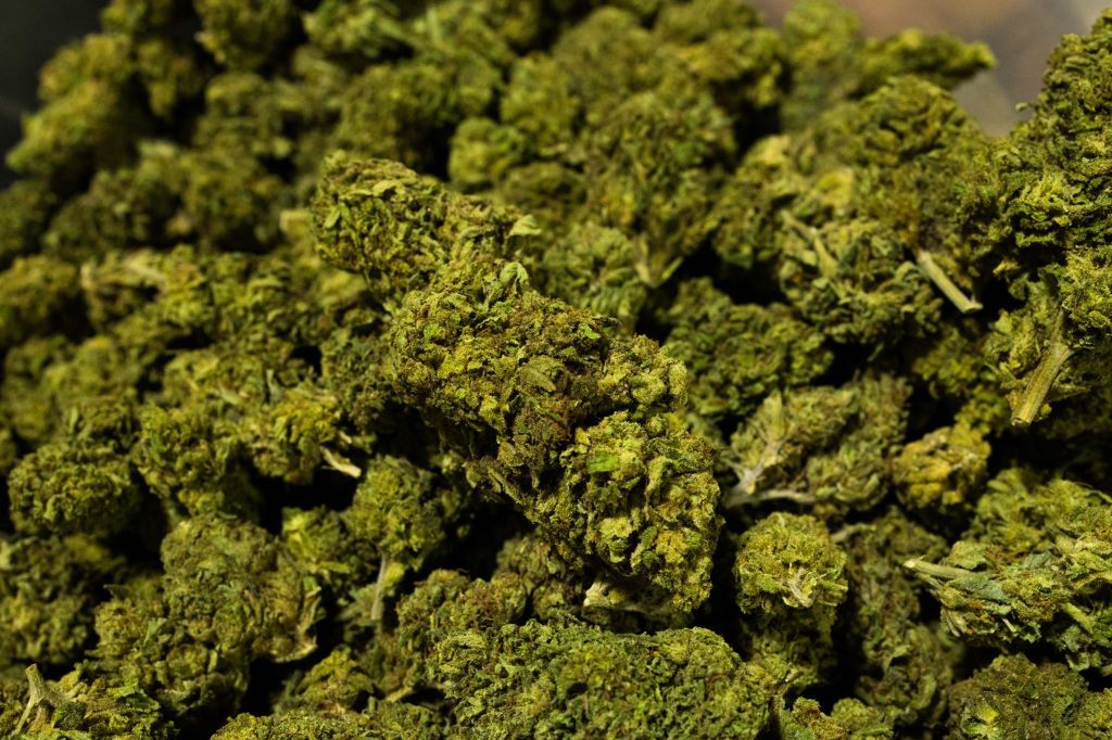 Nowy Jork ma stać się drugim co do wielkości legalnym rynkiem marihuany w kraju