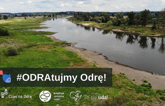Ruszyła zbiórka na uratowanie skażonej Odry