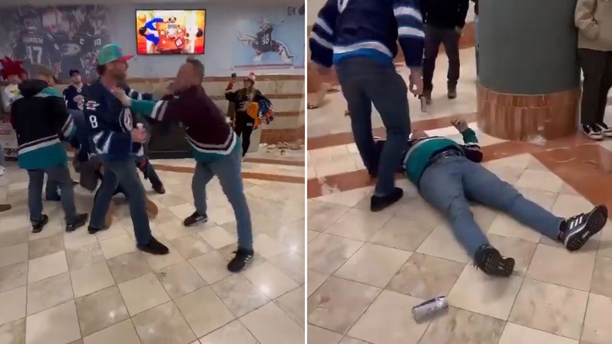 twitter.com/ocxhoods/ / Bójka pomiędzy fanami NHL