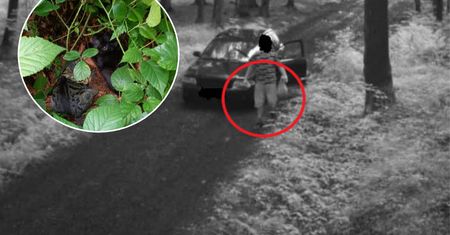Fotopułapka wszystko nagrała. Porzucił je "pod okiem" kamery