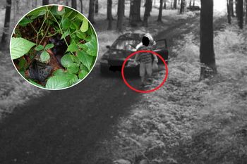 Fotopułapka wszystko nagrała. Porzucił je "pod okiem" kamery