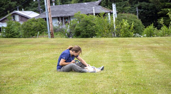 Weterynarz z powołania