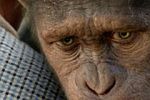 [wideo] ''Geneza Planety Małp'' - zobacz fragmenty filmu!