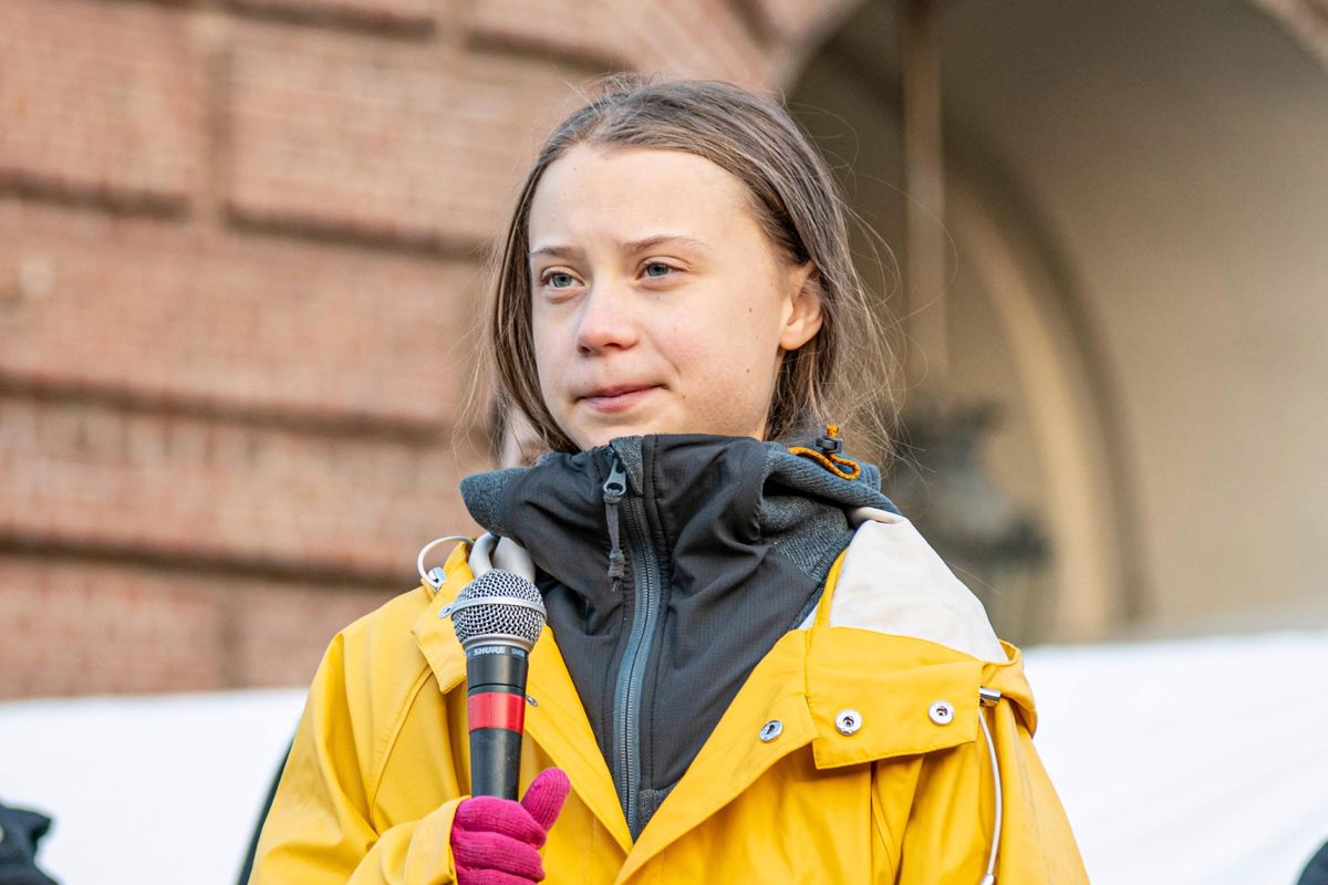 Greta Thunberg zamieszcza wezwanie. Na celowniku duży koncern z Niemiec