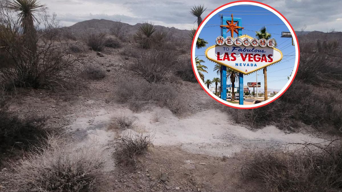 Przerażające odkrycie na pustyni w Nevadzie