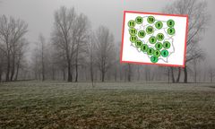 Pogoda w grudniu nie będzie zimowa. Nadchodzi ocieplenie w prognozach