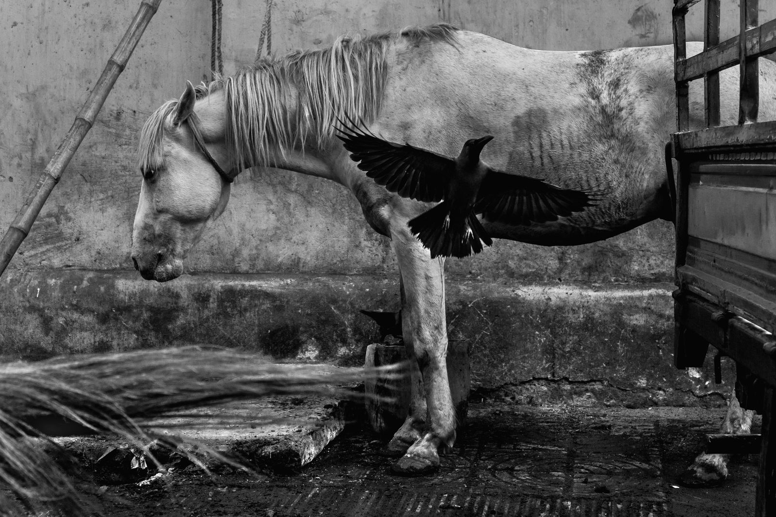Urban International Photo Awards 2018: Łukasz Ziętara zwycięzcą w kategorii "Urban Art" 17