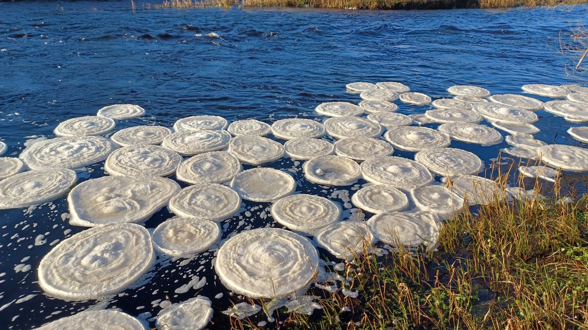"Lodowe naleśniki" w Szkocji.