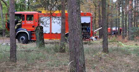 Wichura w Zielonej Górze. Drzewo runęło na przedszkole