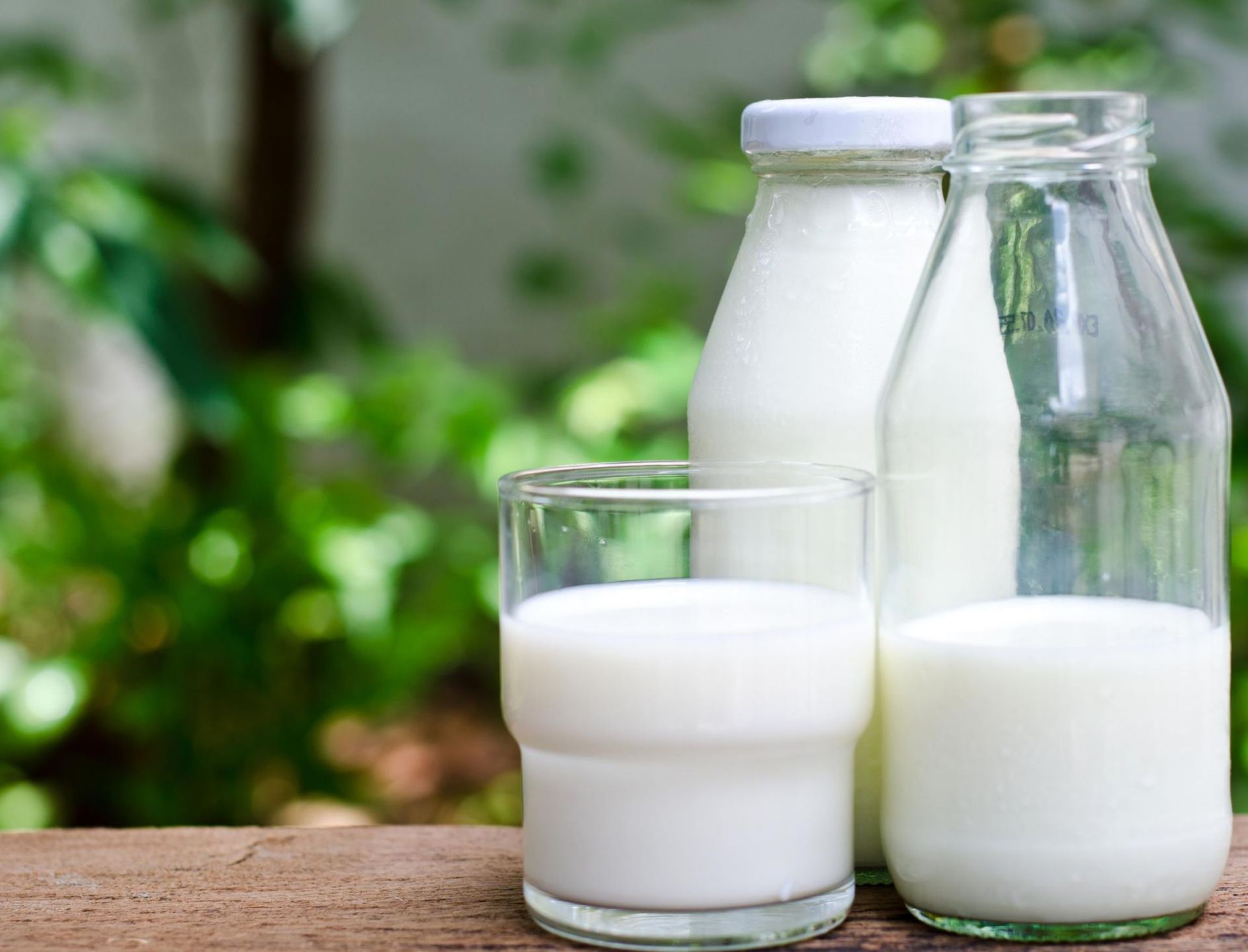 zsiadłe mleko [123rf.com]