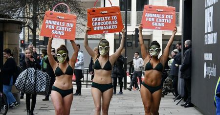 Rozebrane aktywistki PETA protestują w maskach krokodyla (ZDJĘCIA)