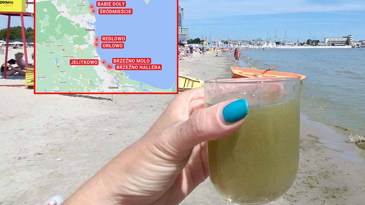 Toksyczne sinice opanowały Bałtyk